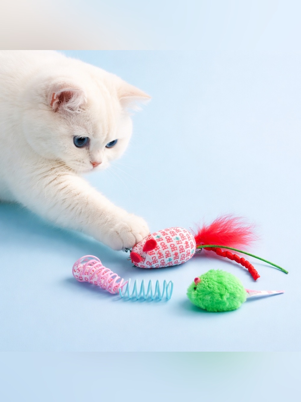 Festive Cat Toy Set with Mice and Springs
